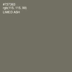 #737363 - Limed Ash Color Image